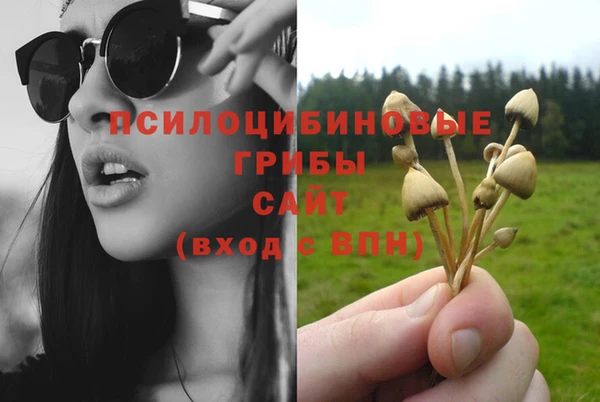 2c-b Новозыбков