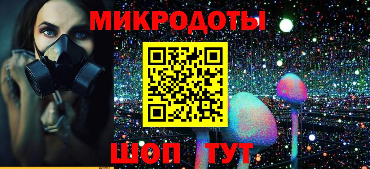 Псилоцибиновые грибы мицелий Санкт-Петербург