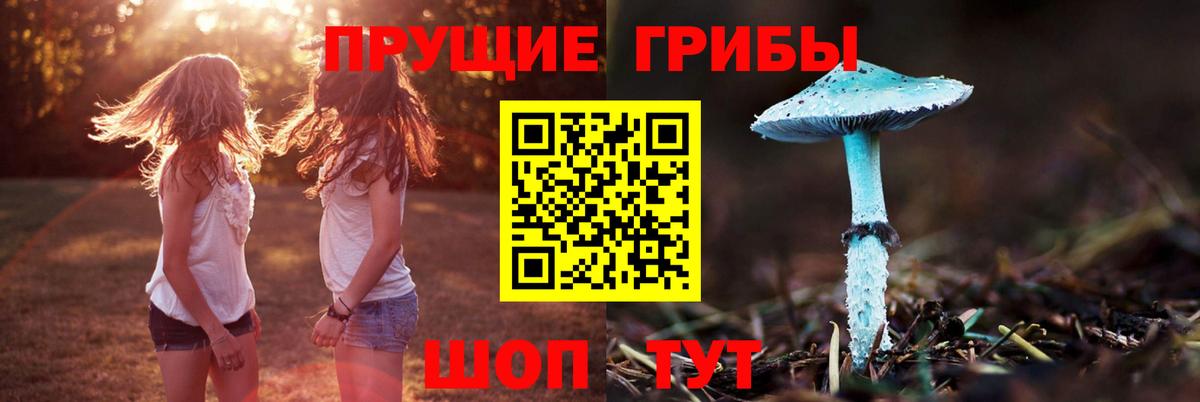 Санкт-Петербург  Галлюциногенные грибы мицелий  Вход с VPN  Галлюциногенные грибы GOLDEN TEACHER 